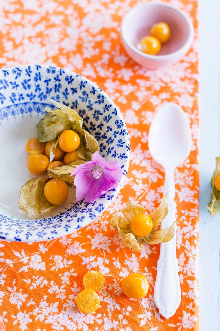 Fresh physalis on a plate and on a floral patterned cloth