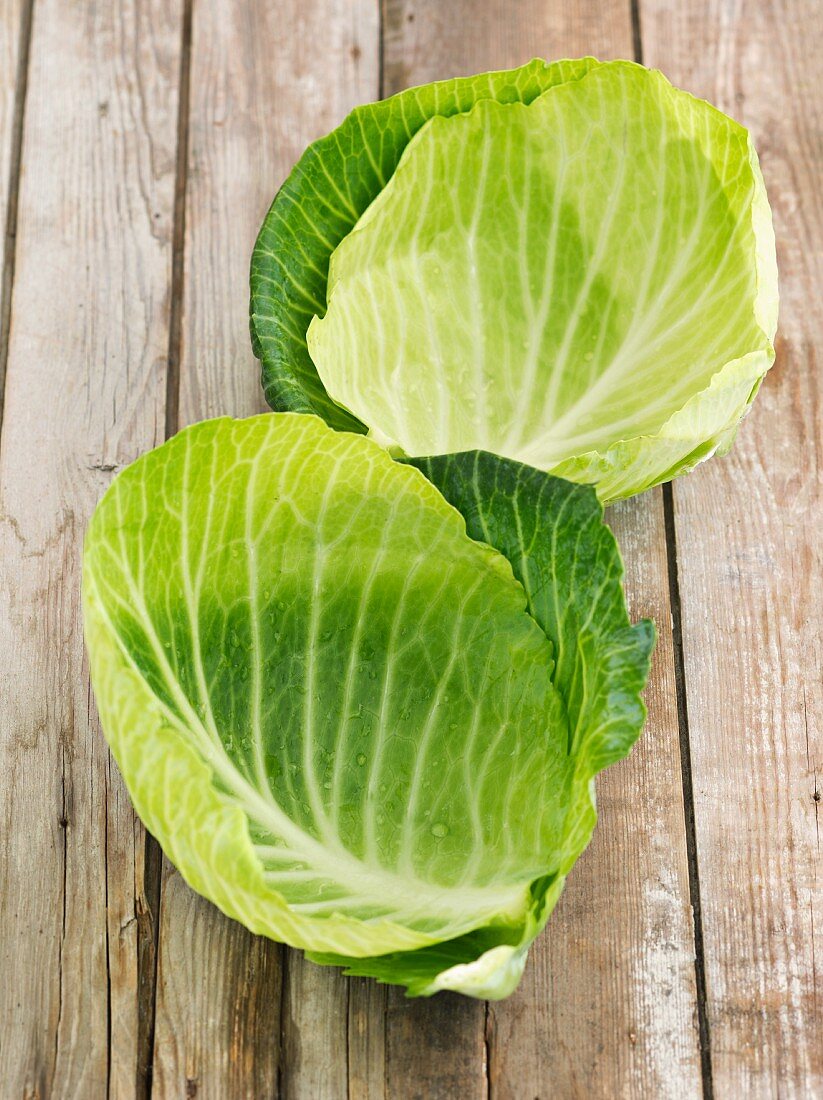 Young white cabbage leaves on a wooden surface