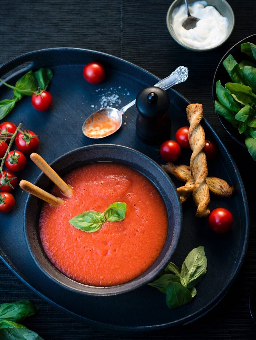 Tomatensuppe mit Grissini und frischem Basilikum in Suppenschale