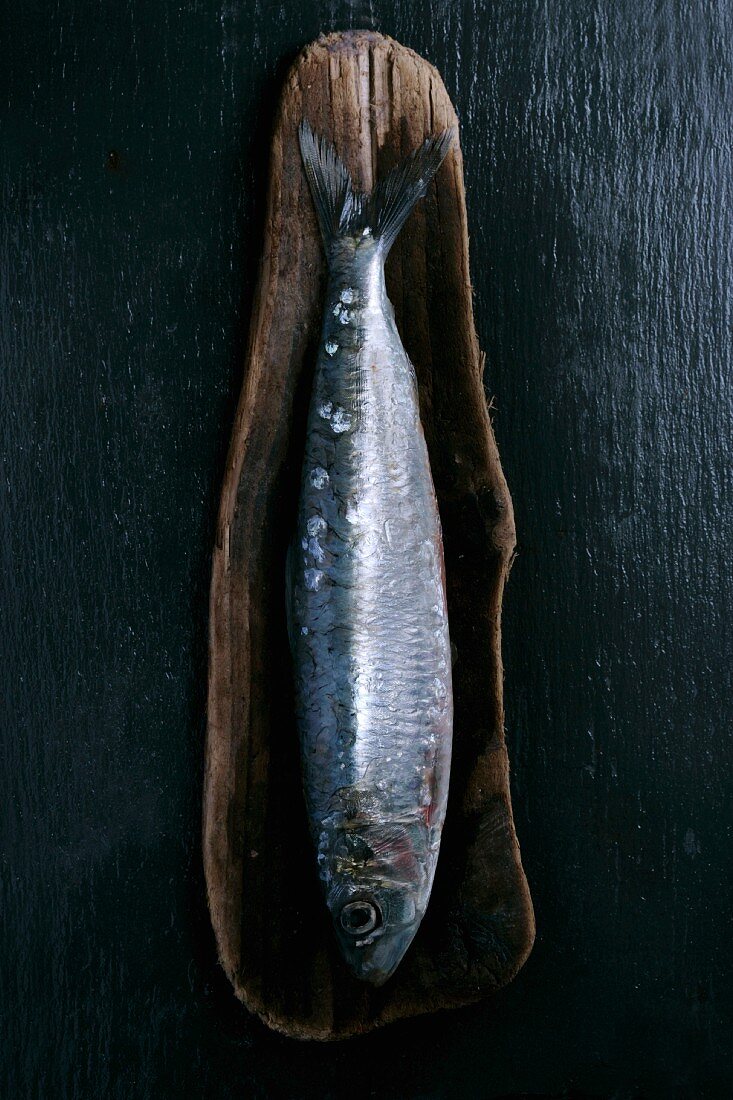 A fresh sardine in a wooden dish (seen from above)