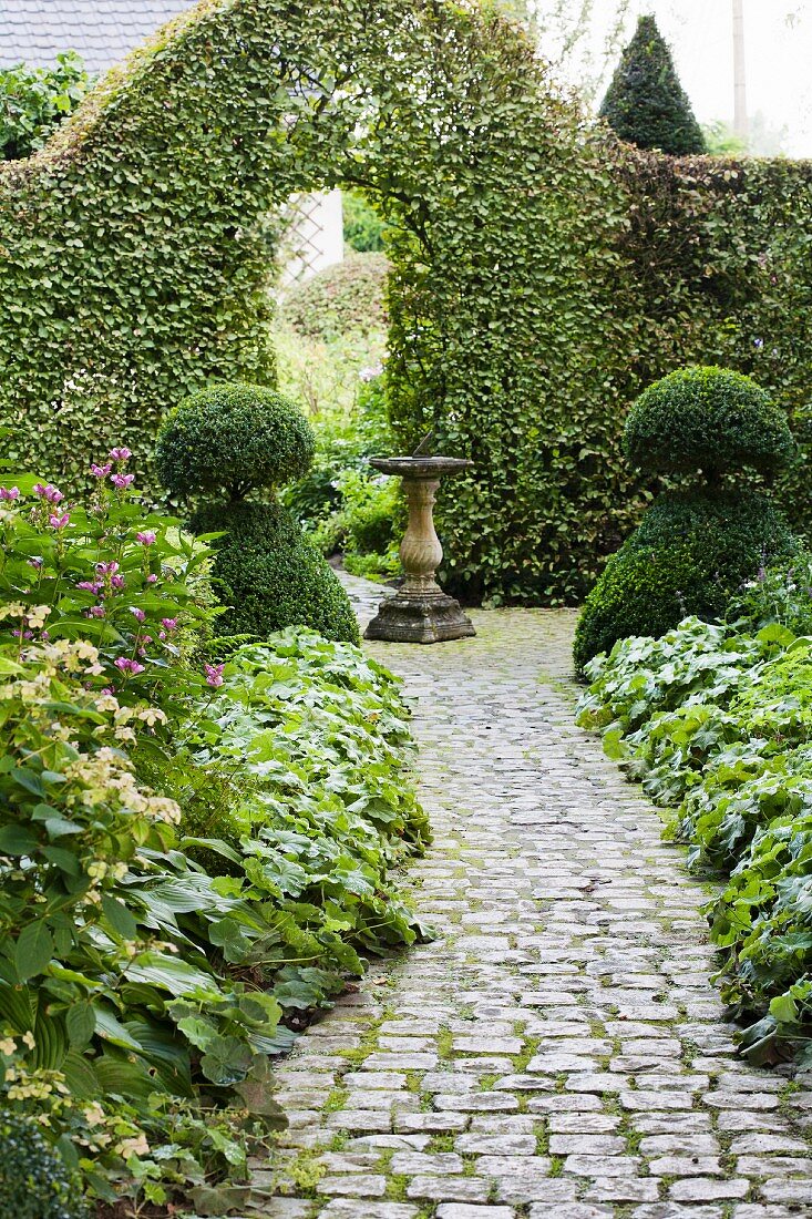 Cobbled path leading through topiary bushes to archway in hedge