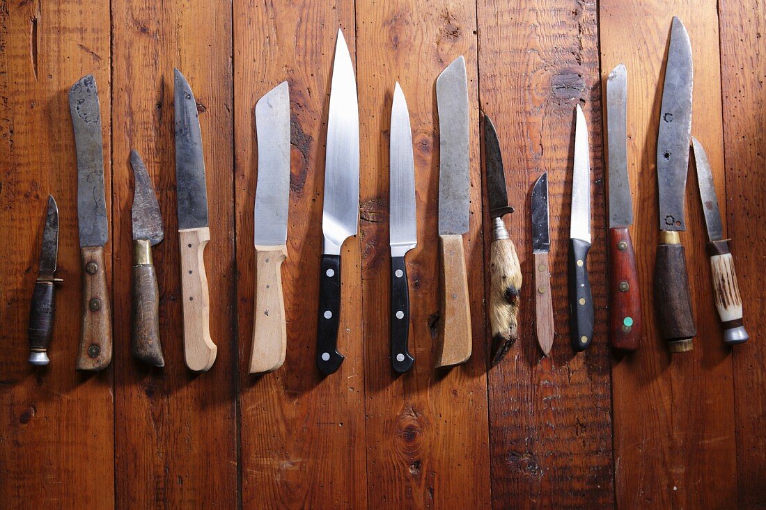 A row of different knives on a wooden surface