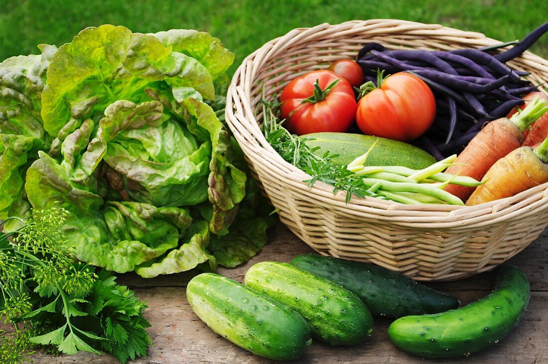 Sommerliche Ernte aus dem Garten: Salat, Gurken, Dill, Petersilie, Bohnenkraut, Bohnen, Möhren und Tomaten