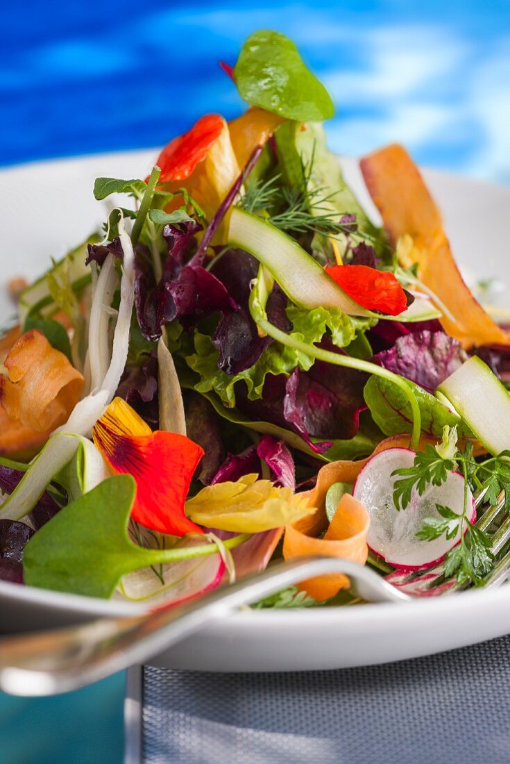 Gemischter Blattsalat mit Möhren und Kapuzinerkresse