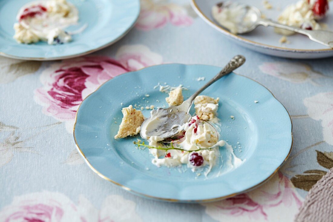 Meringue crumbs on a plate