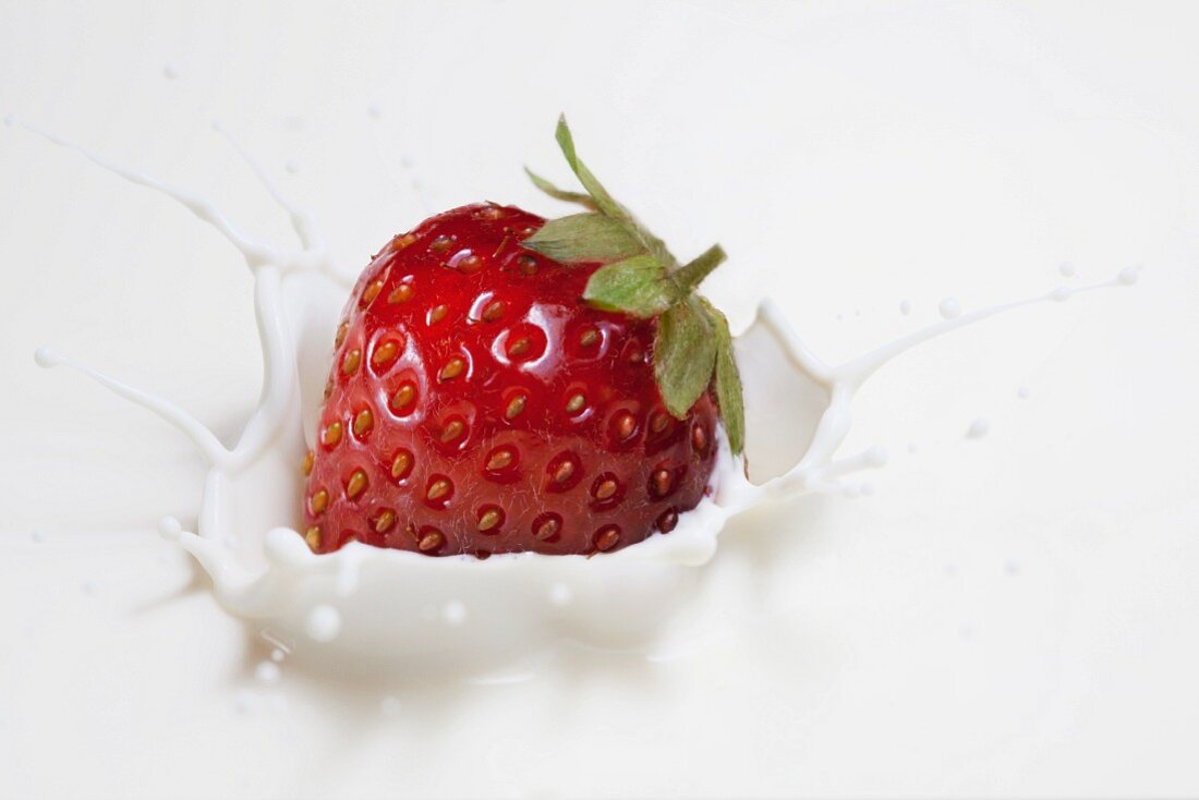 Frische Erdbeere fällt in Milch