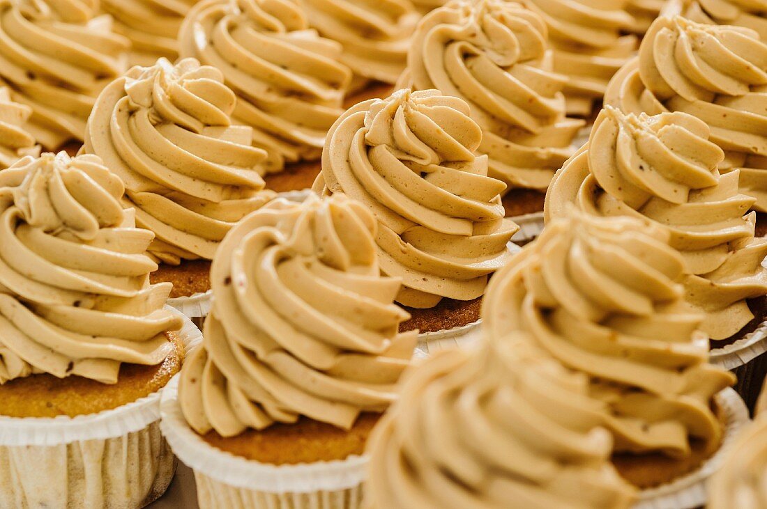 Hazelnut cupcakes with chestnut cream