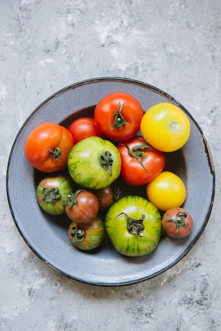 Various tomatoes on an enamel plate
