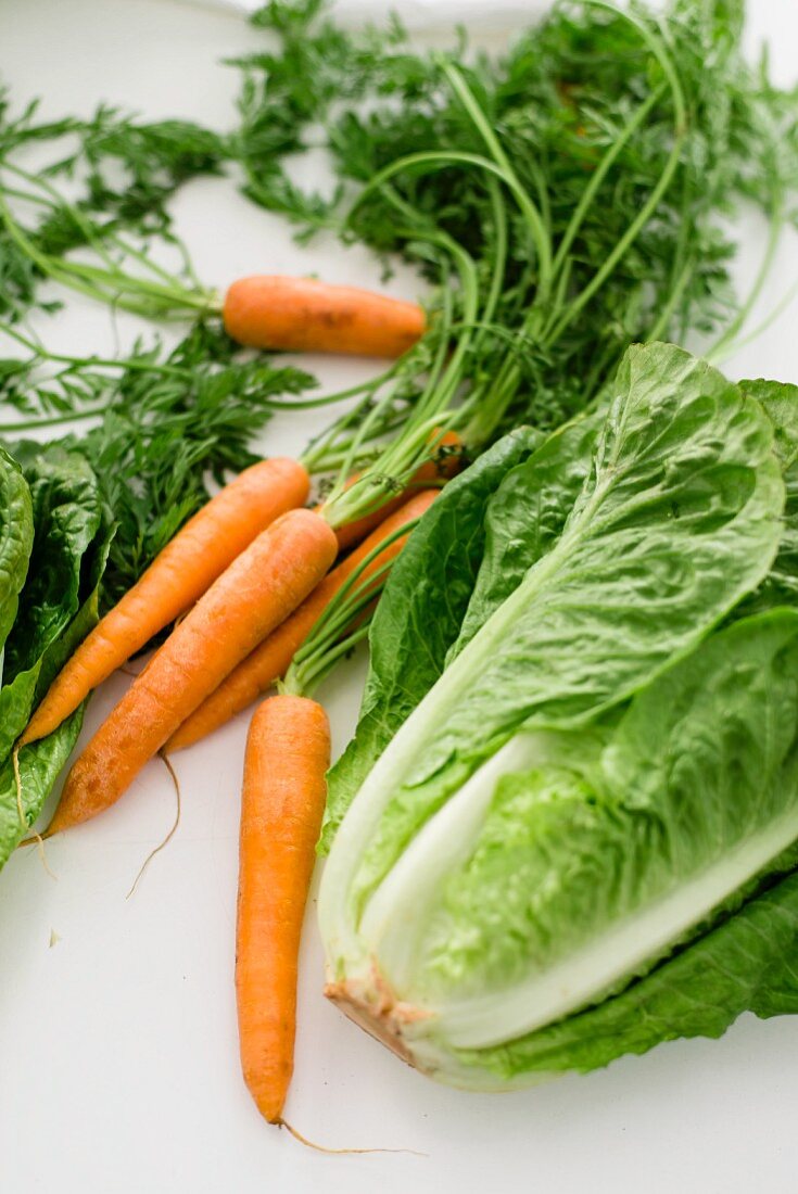 Fresh carrots and salad