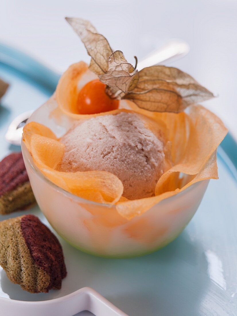 Tea ice cream with melon and physalis