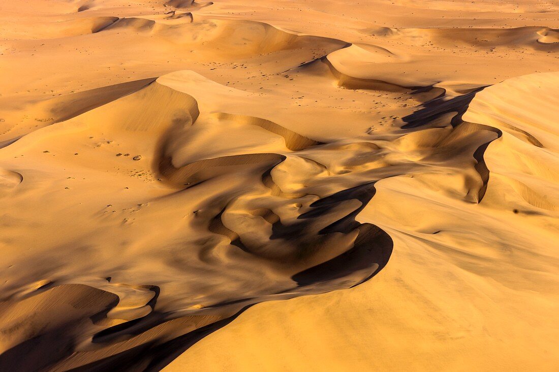 Drifts in the Namibian desert, Sossusvlei, Namibia