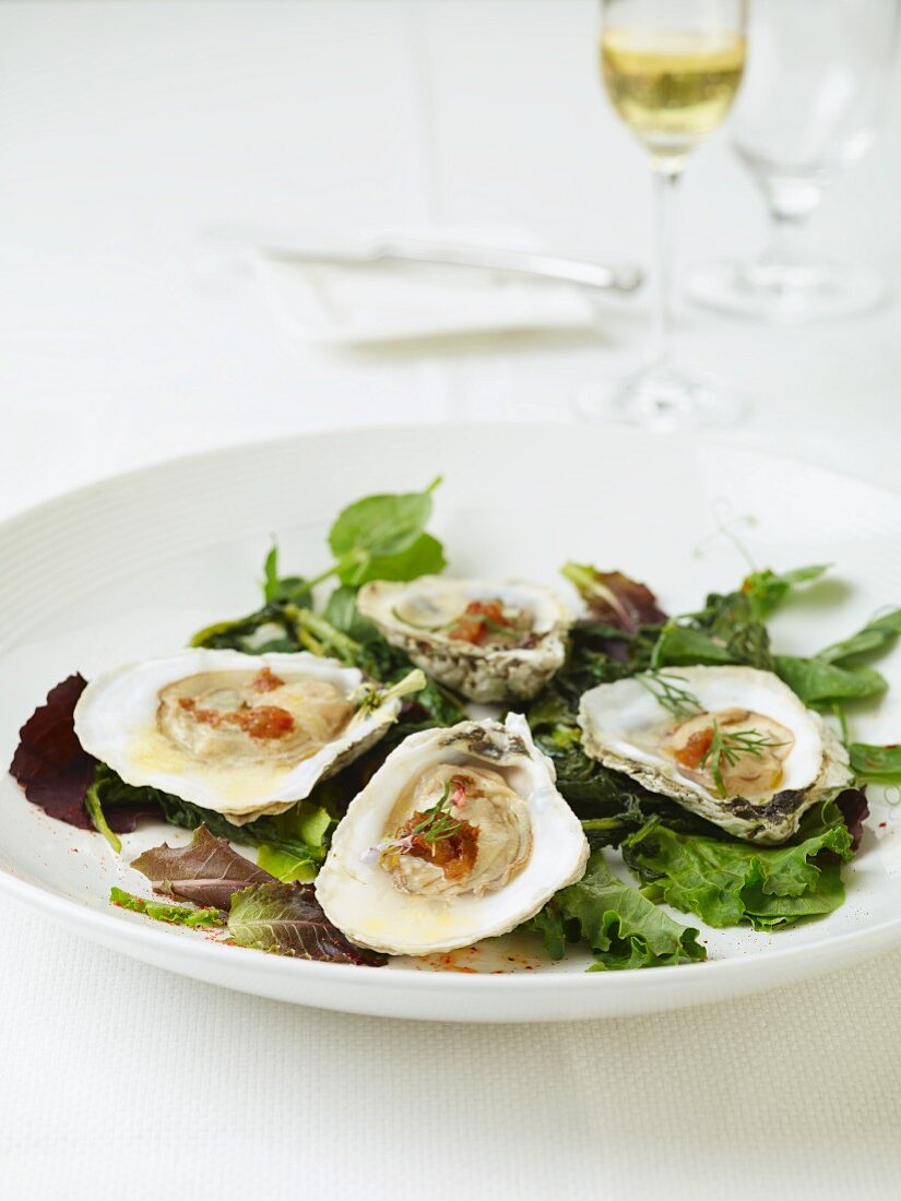 Fresh oysters on a bed of lettuce