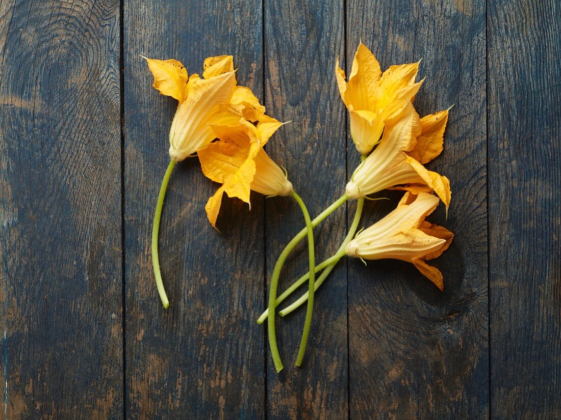 Zucchiniblüten auf Holzuntergrund