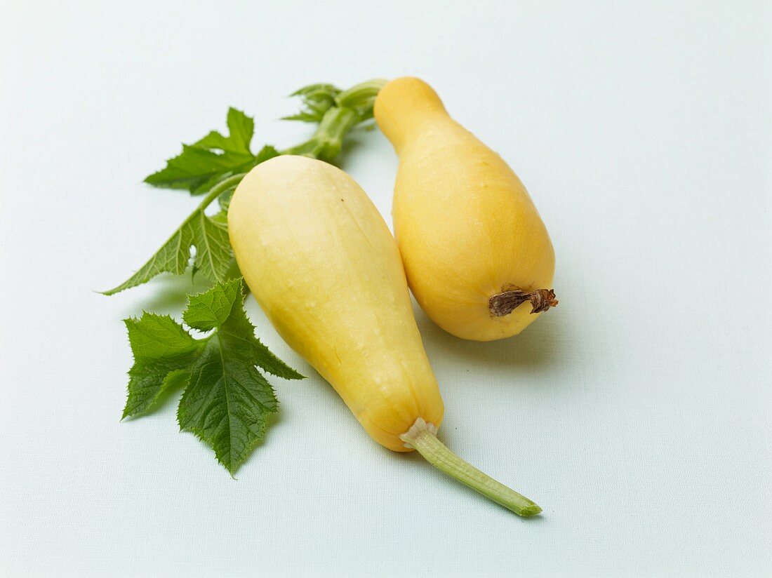 Two yellow courgettes