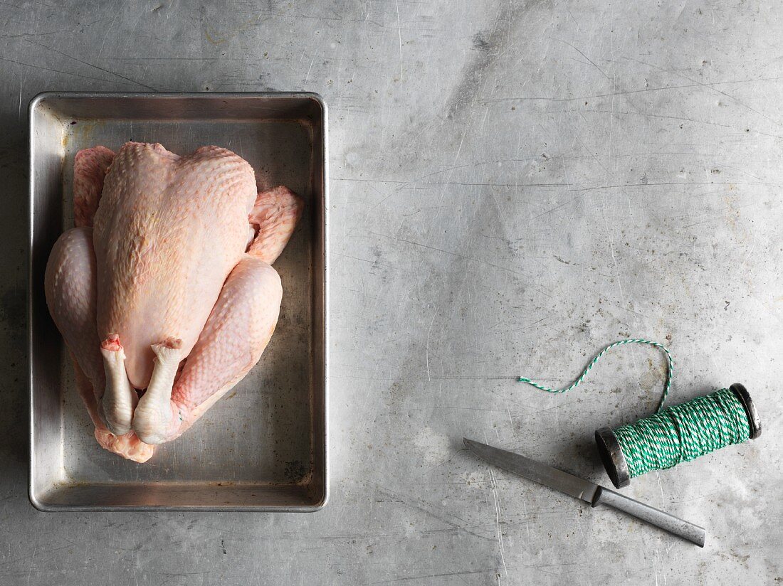 A whole chicken on a baking tray with kitchen twine and a knife