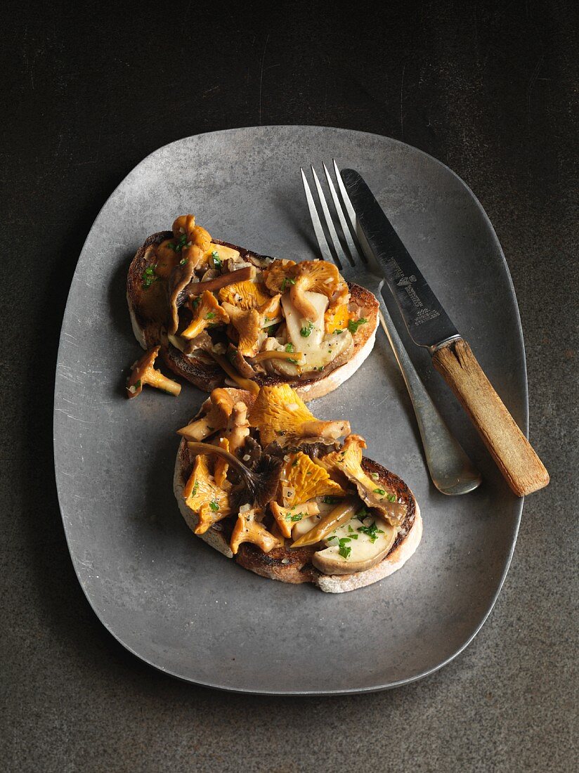 Toast topped with wild mushrooms