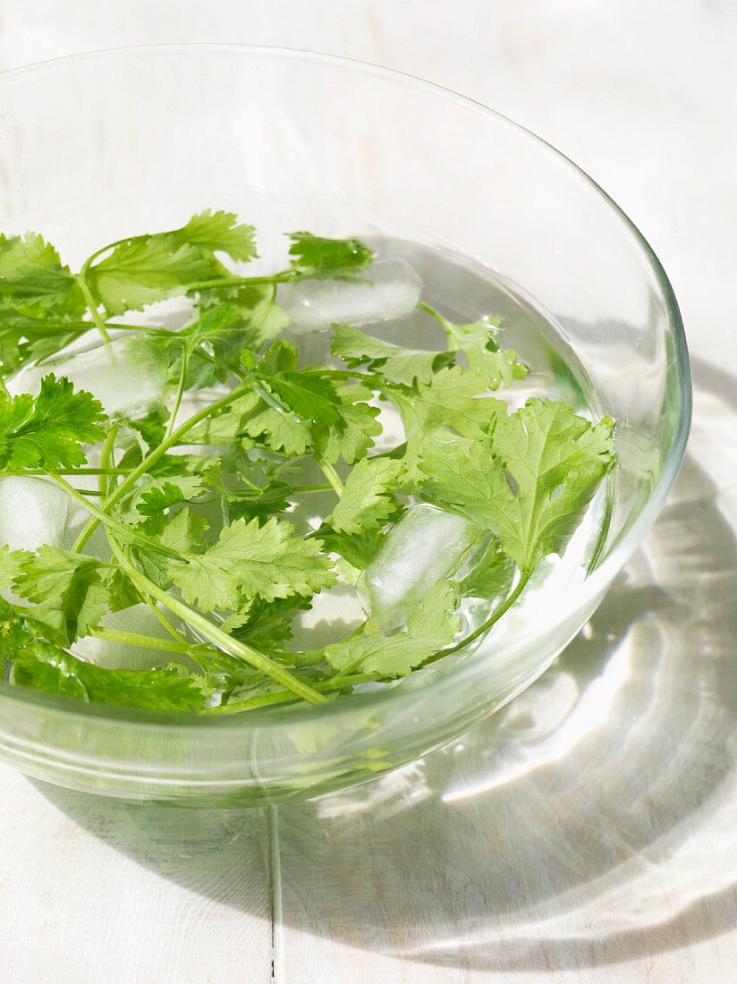 Coriander leaves in a bowl of water