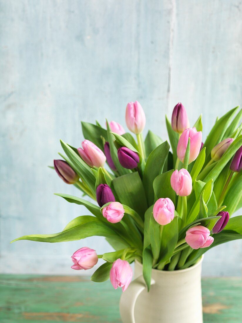 Tulips in a jug