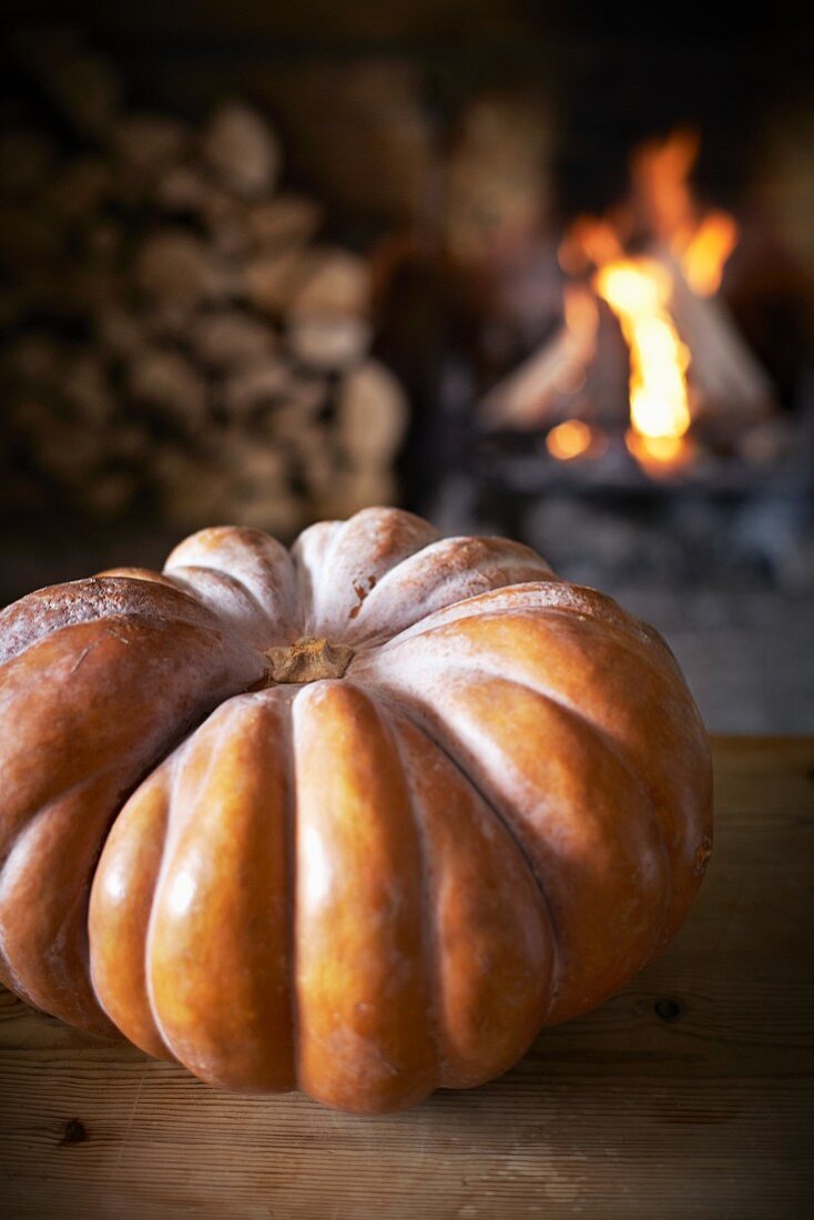 A large Muscade de Provence pumpkin