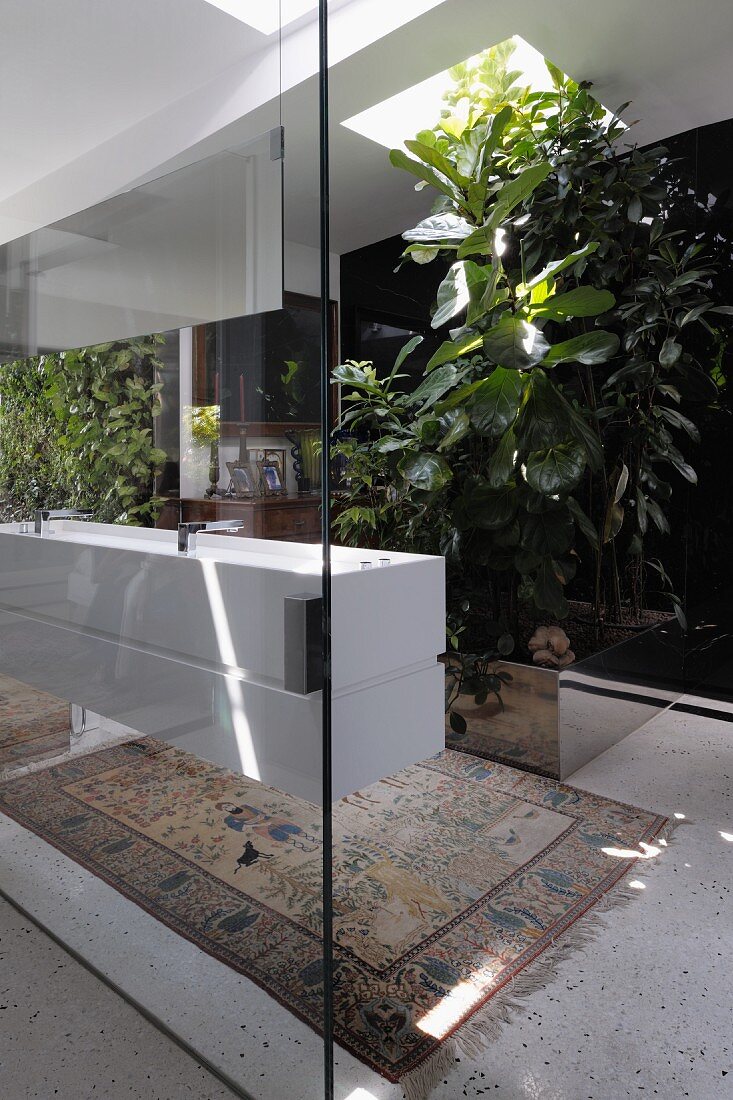 Sinks mounted on glass partition in bathroom with magnificent house plants below square skylights