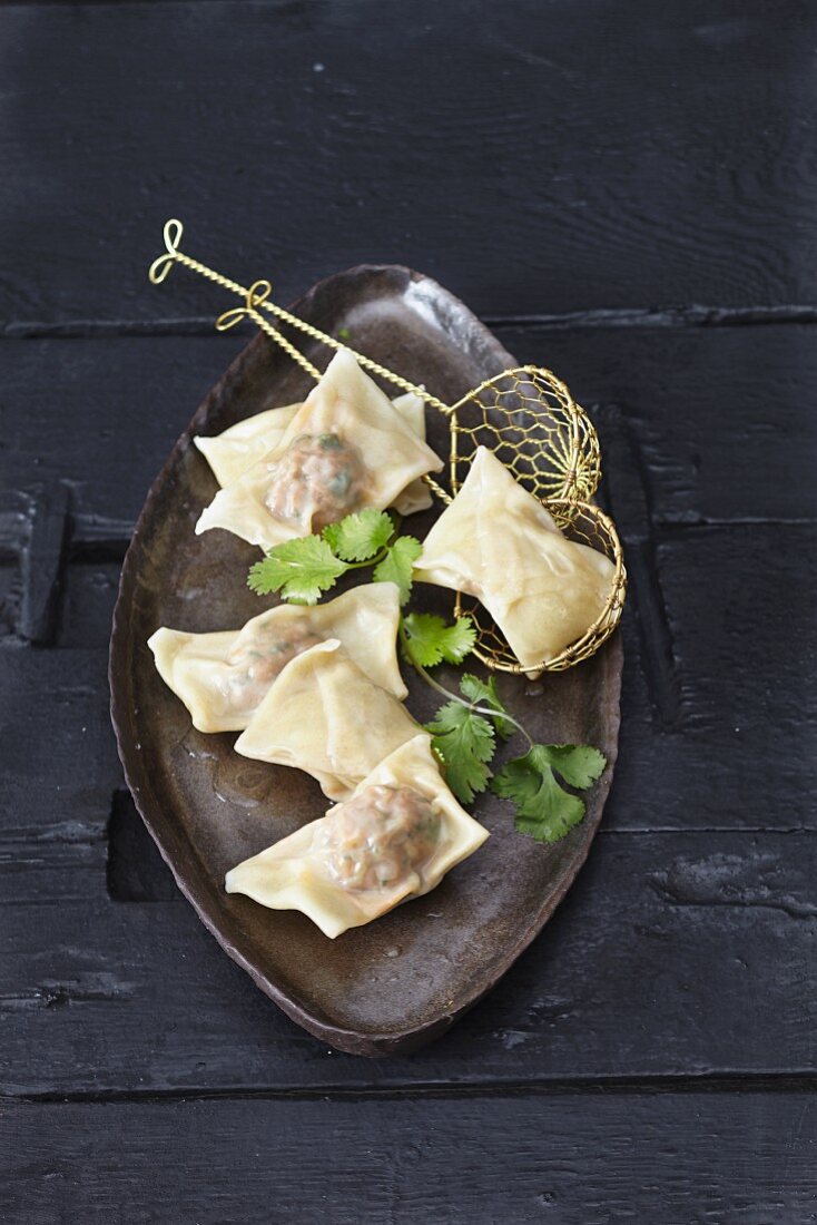 Meat-filled wontons