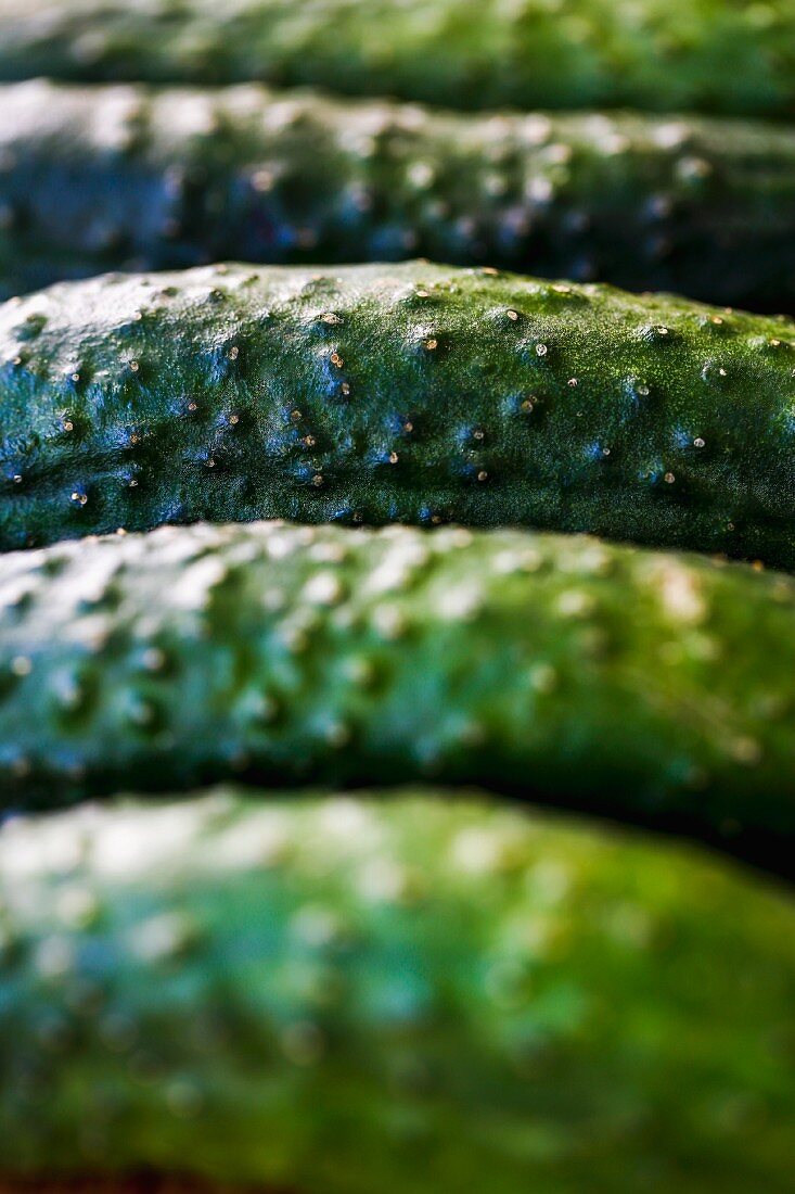 A row of gherkins