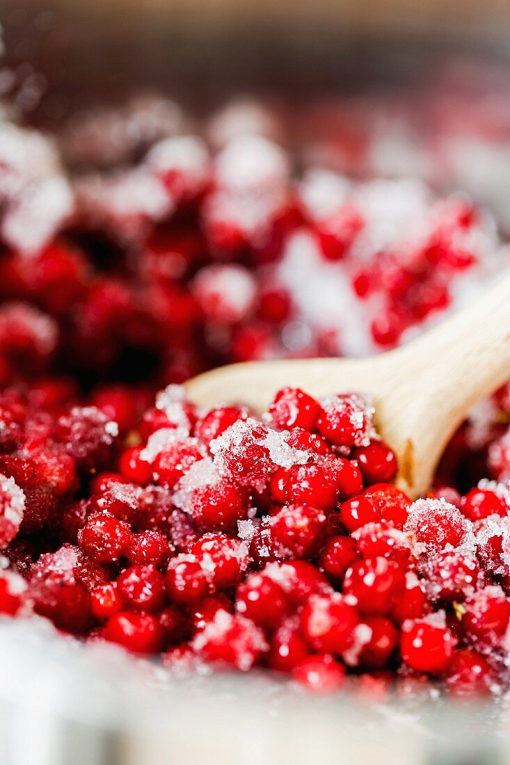 Gezuckerte Preiselbeeren im Kochtopf