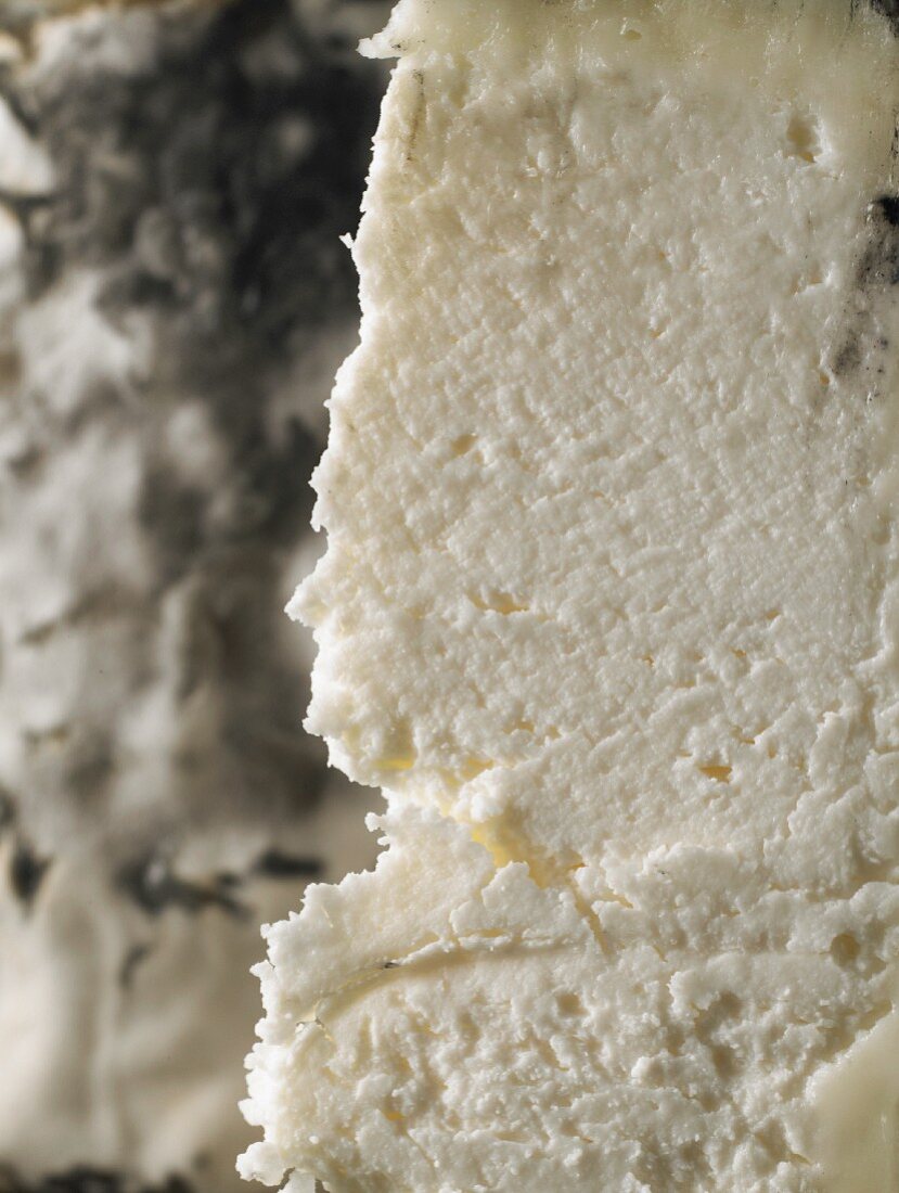 English goat's cheese, close-up