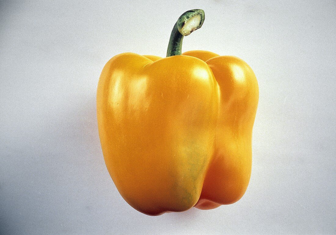 One Yellow Bell Pepper