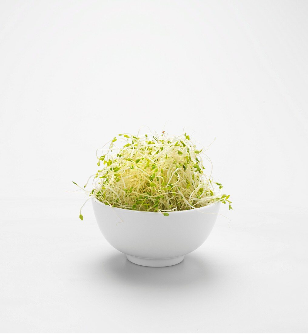 A bowl of alfalfa sprouts