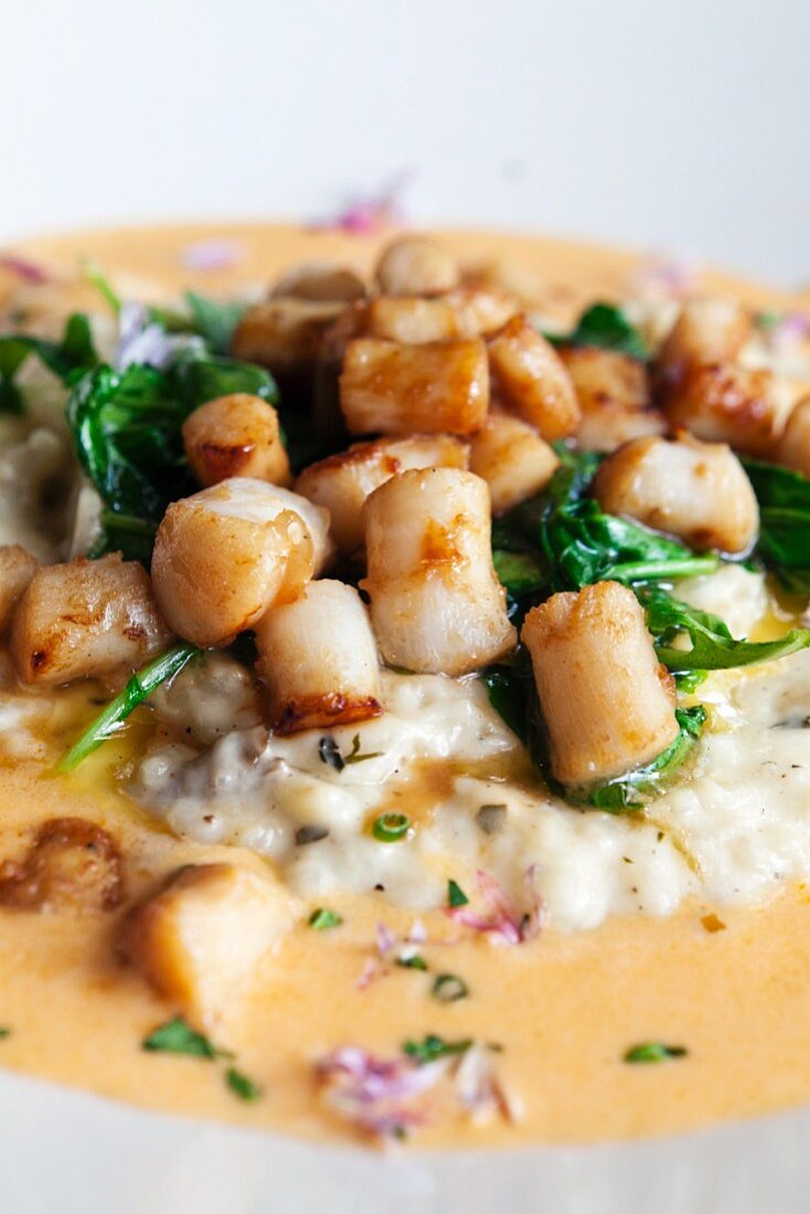 Scallops on a bed of risotto with a wild mushroom sauce