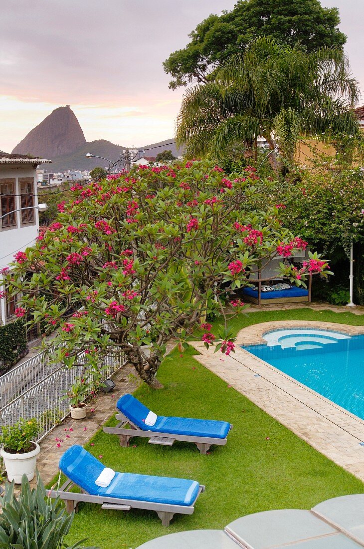 Blick von oben auf Pool im Garten, Liegestühle mit blauen Polstern auf der Wiese neben blühendem Oleander, im Hintergrund der Zuckerhut von Rio