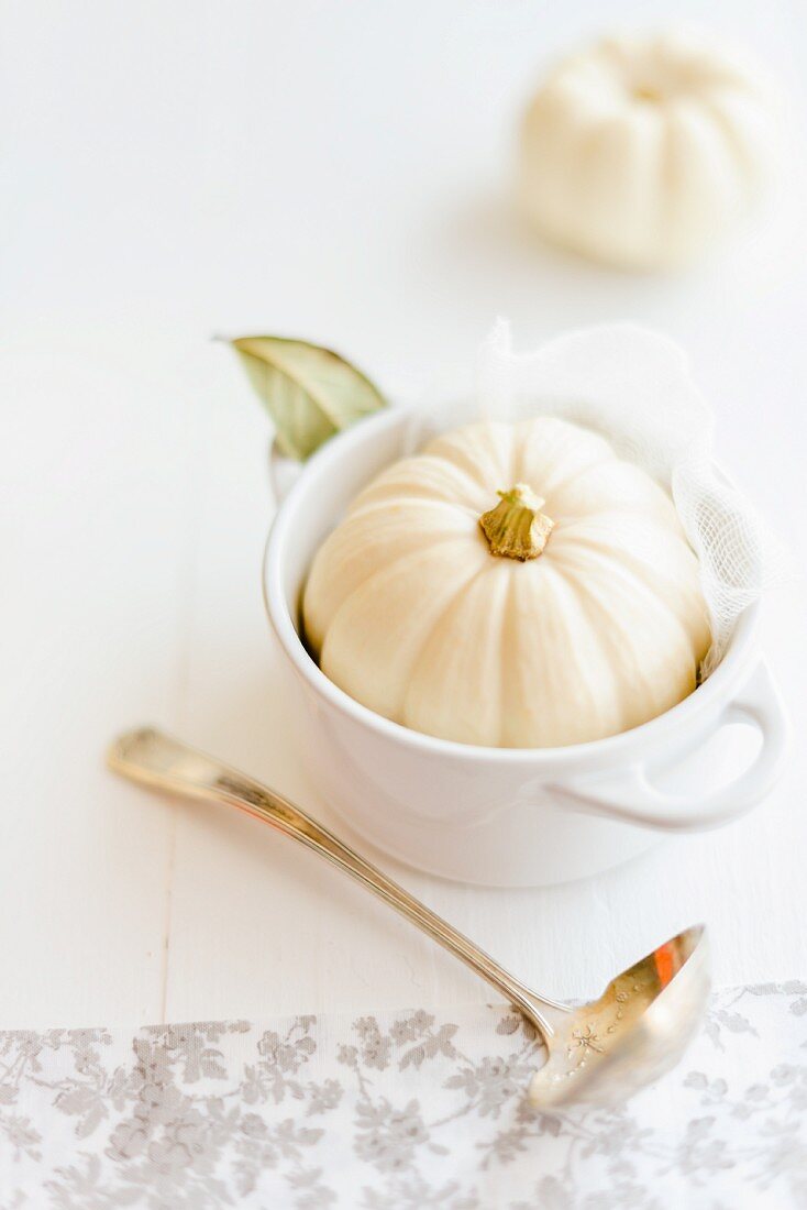 A mini white pumpkin in a soup bowl