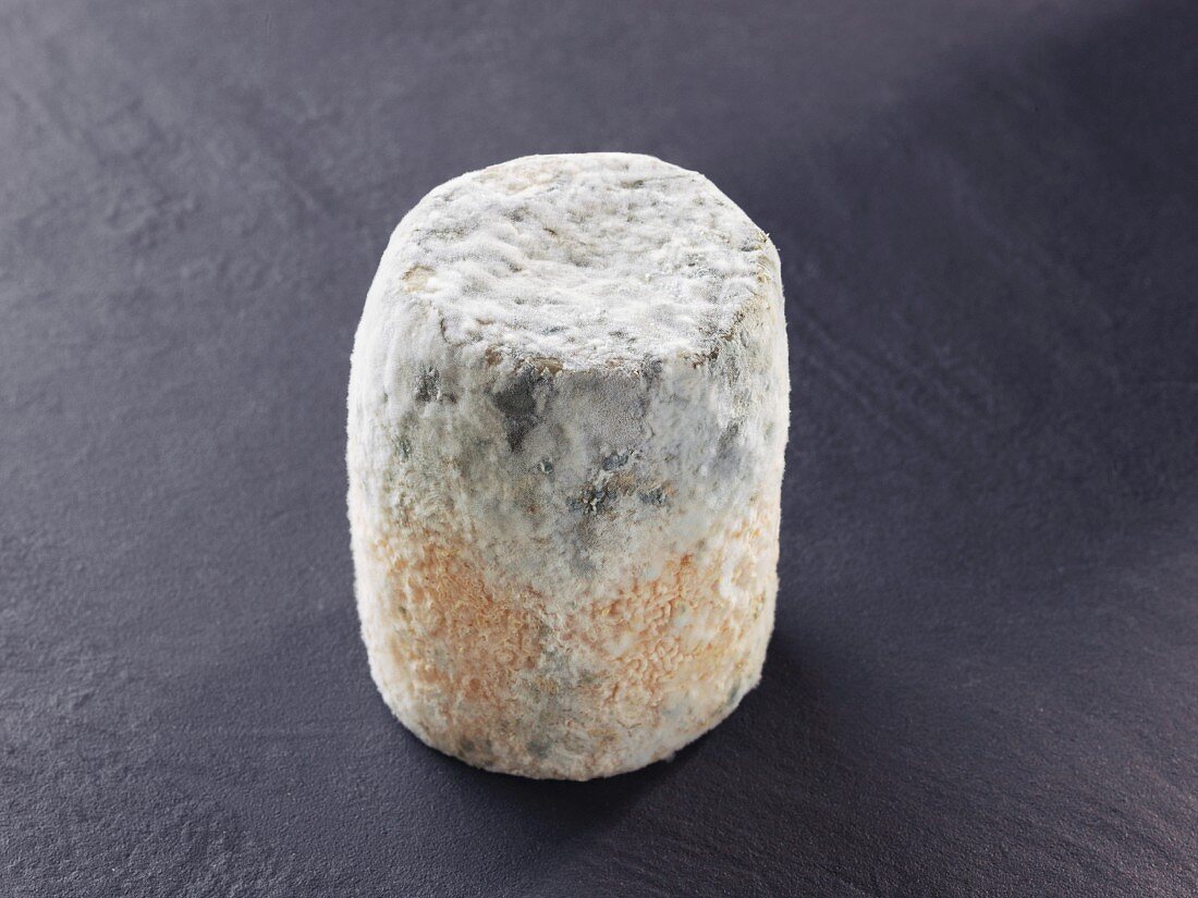 Charolais (French goat's cheese)