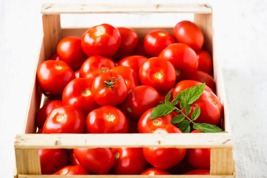 Tomatoes in a wooden crate with tomato leaves