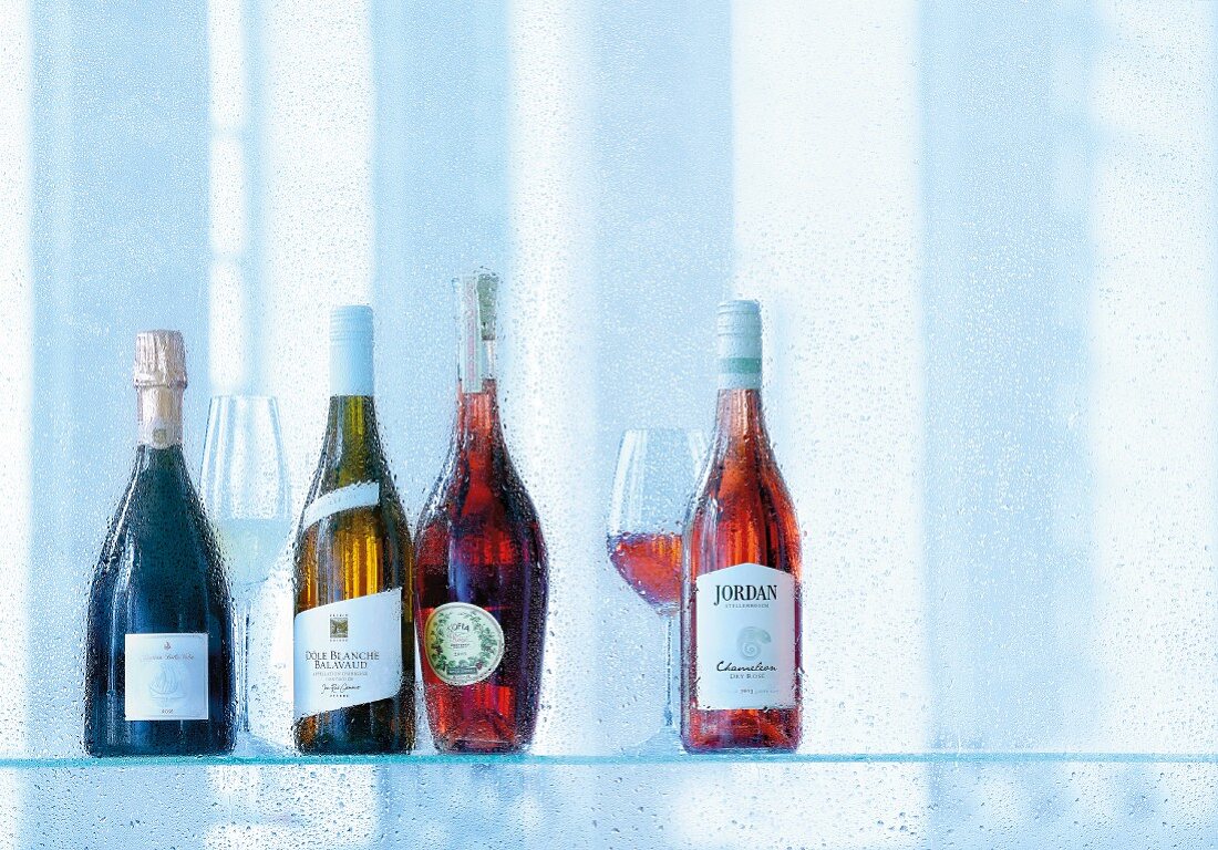 Various types of rosé wine