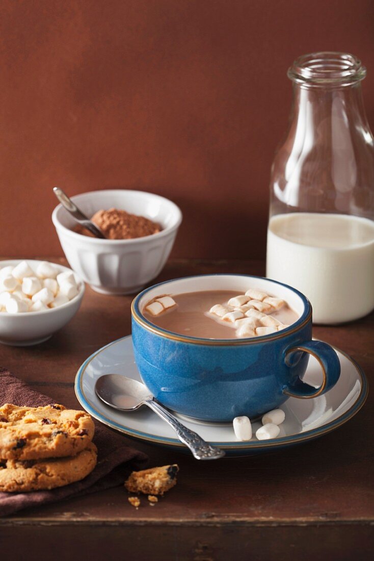 Hot chocolate with mini marshmallows