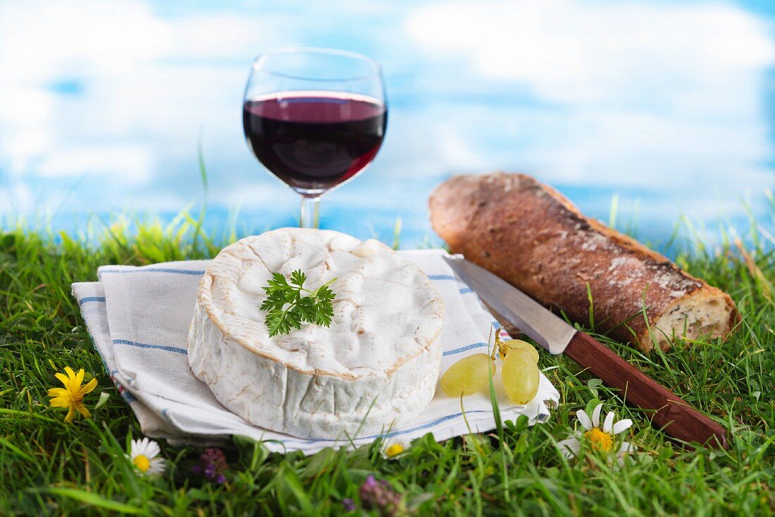 An arrangement of cheese featuring Camembert and red wine