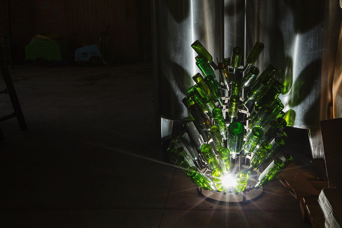 Illuminated empty wine bottles in a wine cellar