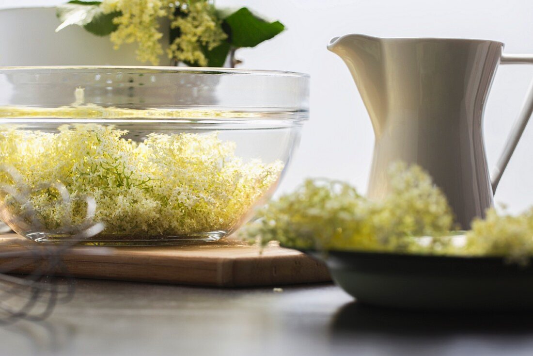 Zutaten für Holunderblütensirup: Holunderblüten, Zuckerwasser