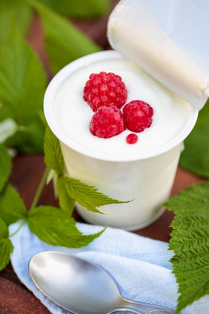 A potato of sheep's milk yogurt with raspberries on a garden table