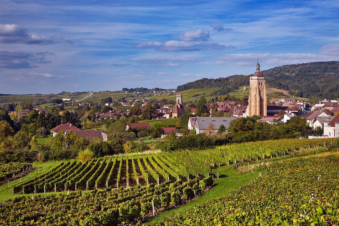 Blick über die Weinberge von En Paradis mit der Kirche von St-Just und der Stiftskirche Notre-Dame, Arbois, Jura, Frankreich