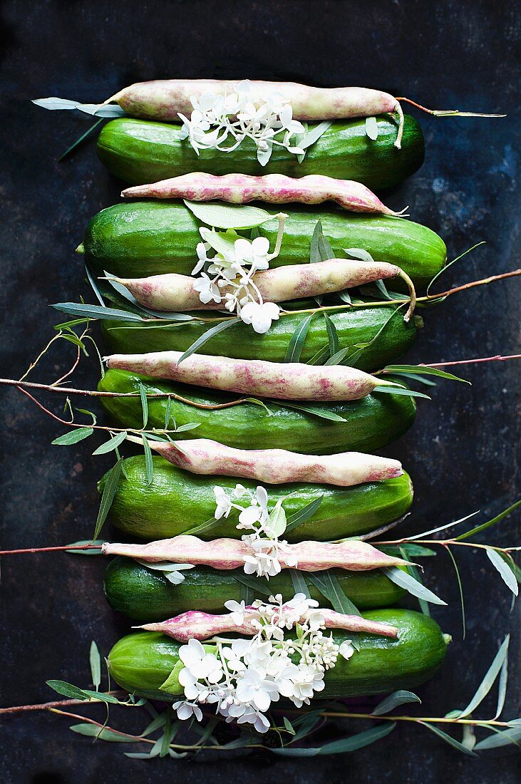 A row of cucumbers and pinto beans with flowers