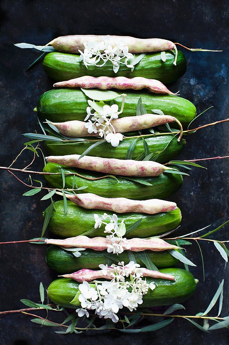 Gurkenreihe mit Pintobohnen und Blumen