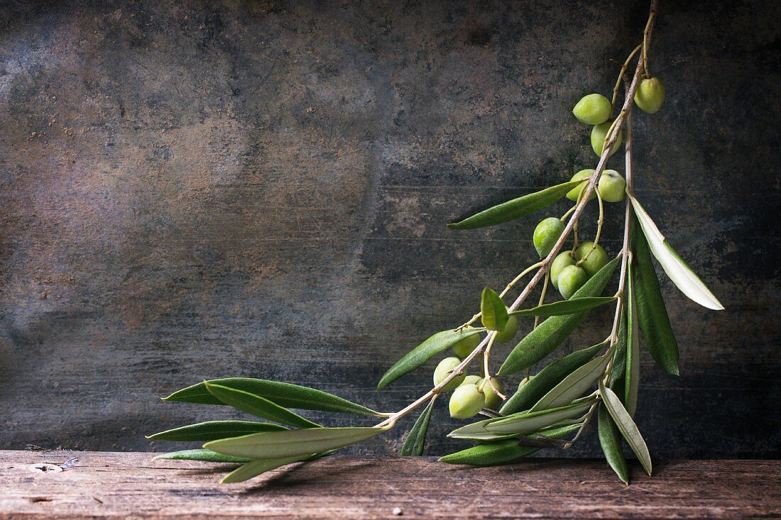 A sprig of fresh green olives on a wooden table