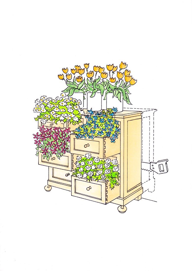 Illustration: Flowers planted in a chest of drawers