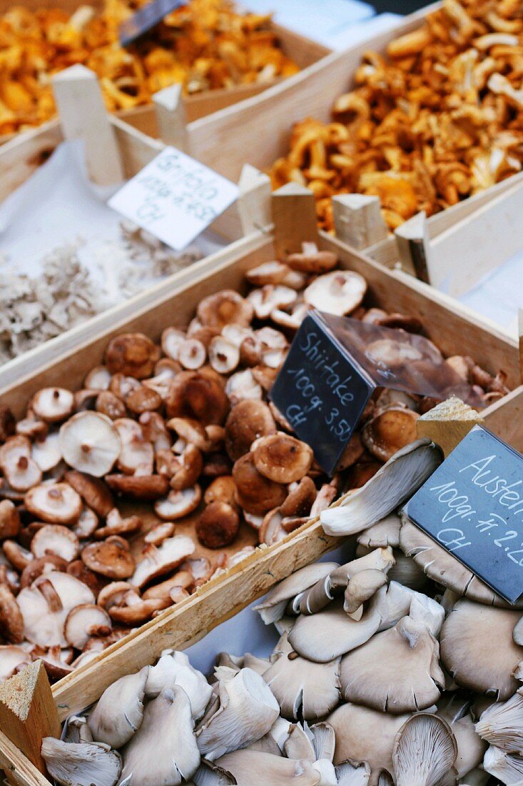 Verschiedene Pilze in Steigen auf einem Markt