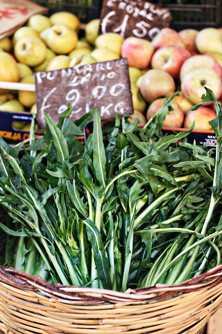 Puntarella Salat in Korb auf dem Markt