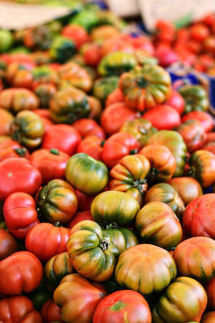 Fleischtomaten (Sorte Costoluto) an einem Markstand