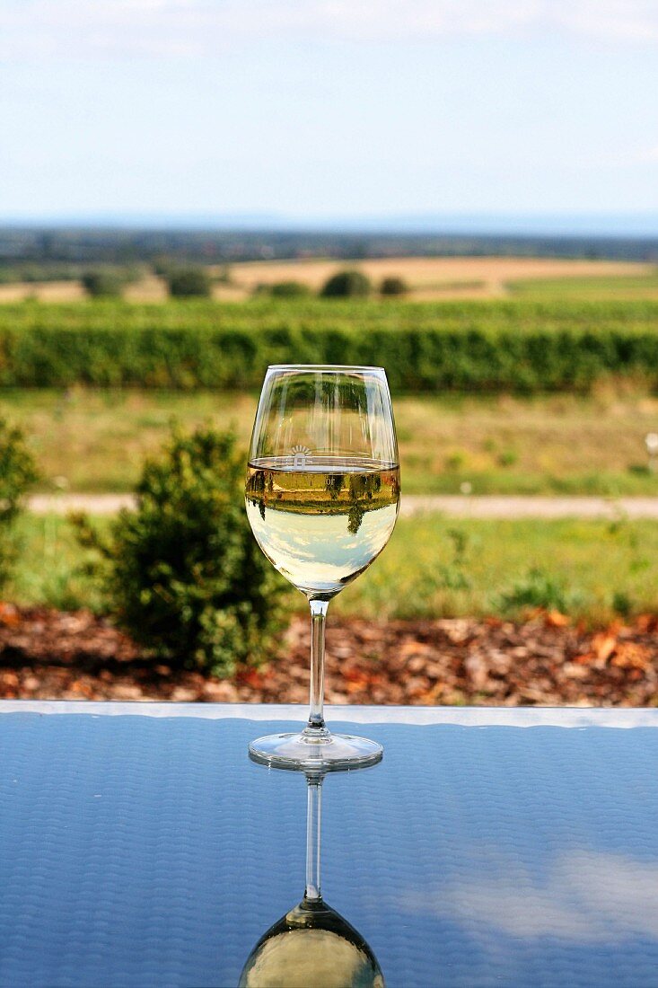 A glass of white wine on a glass table with a view over a summery landscape